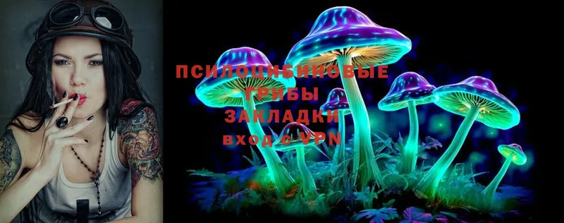 blacksprut зеркало  где купить наркоту  Оса  Псилоцибиновые грибы MAGIC MUSHROOMS 